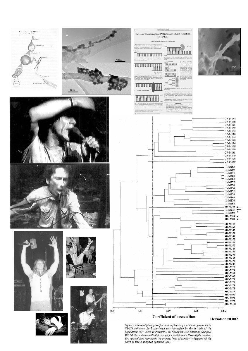 Programmheft für das Stück 