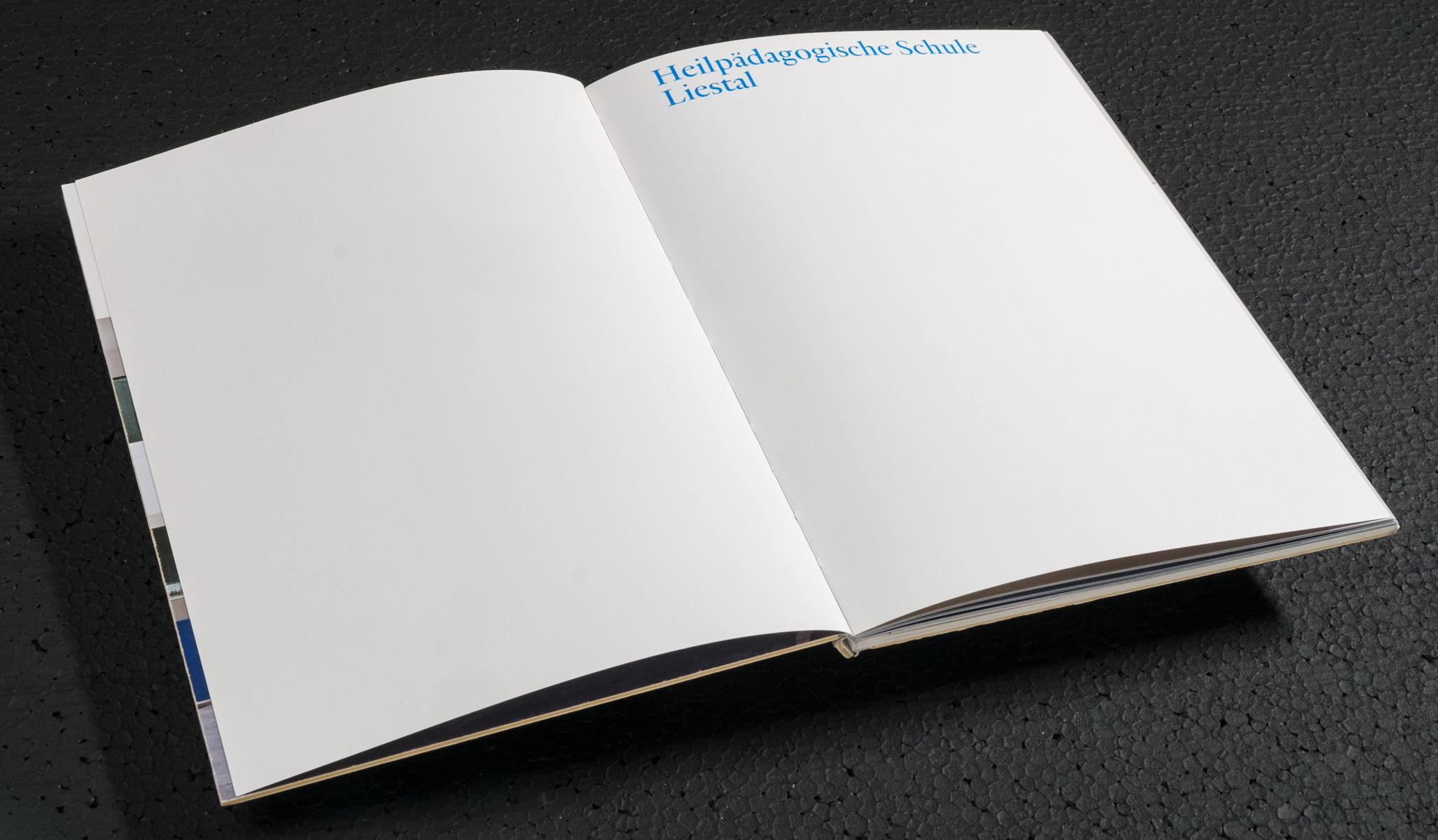 sab Architekten Basel Heilpädagogische Schule Liestal