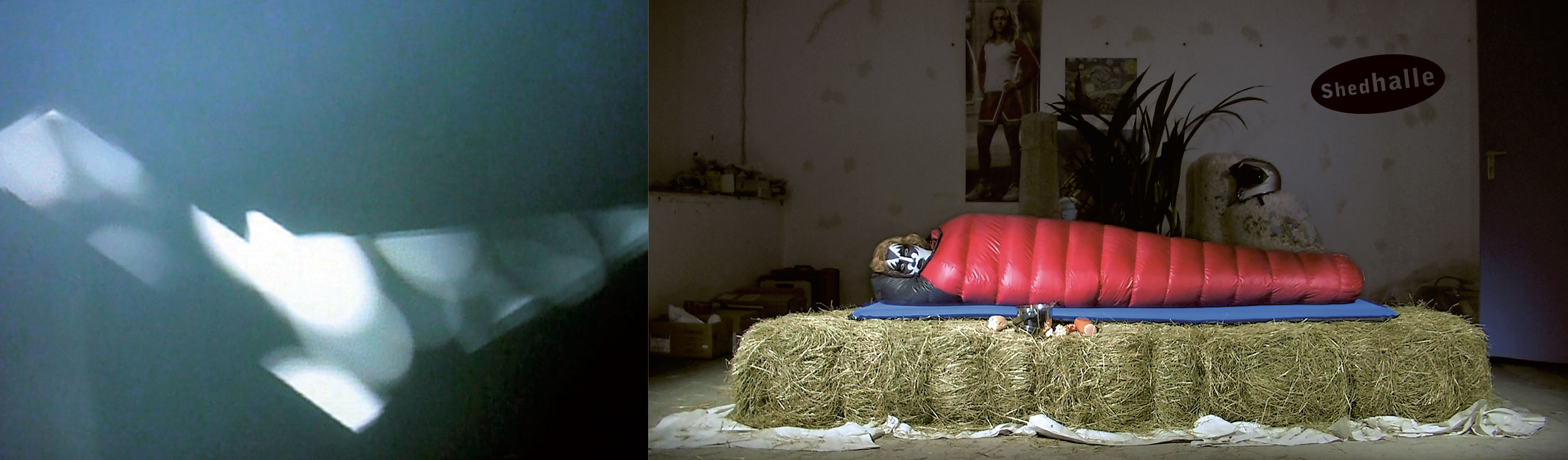 Shedhalle Zürich Ausstellung Einladungskarte