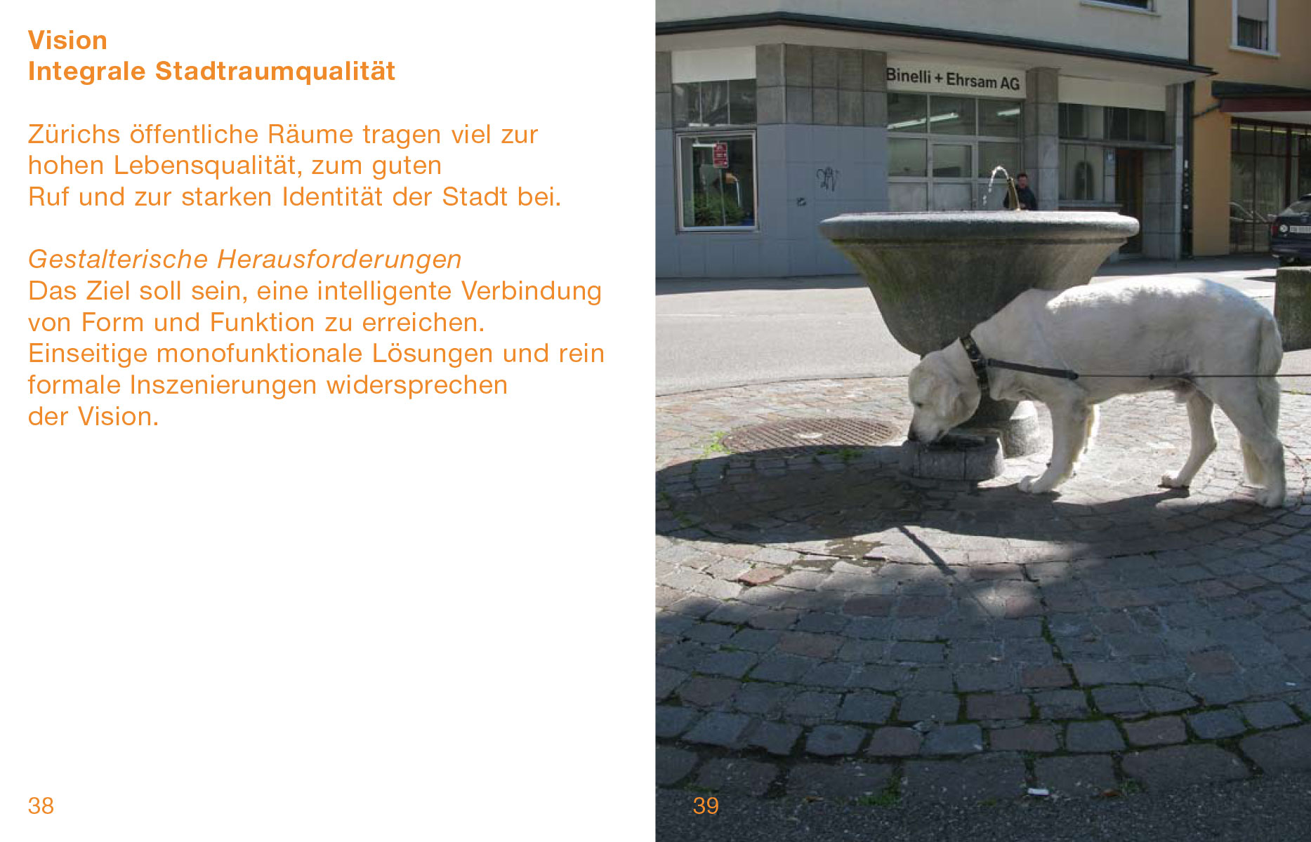 Publikation für Stadträume 2010 des Tiefbau- und Entsorgungsdepartements der Stadt Zürich, 2010, zusammen mit Christoph Schuler (Text) und Paco Carrascosa (Fotografie)