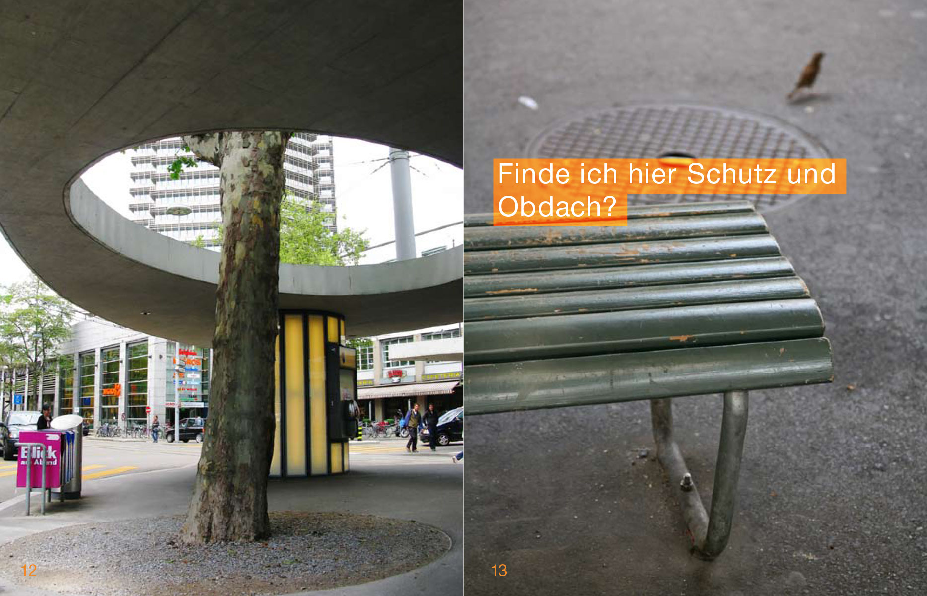Publikation für Stadträume 2010 des Tiefbau- und Entsorgungsdepartements der Stadt Zürich, 2010, zusammen mit Christoph Schuler (Text) und Paco Carrascosa (Fotografie)