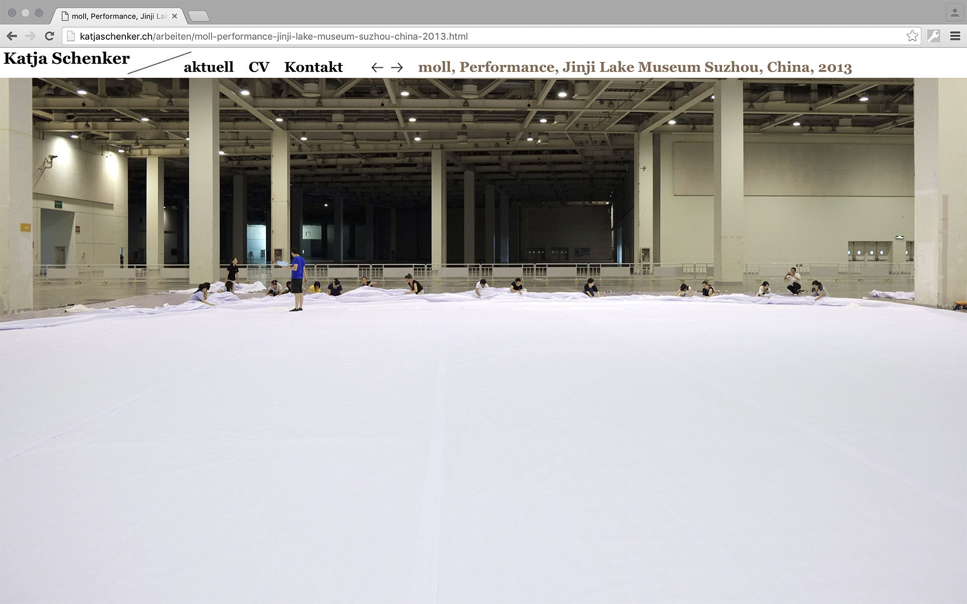 Website für Katja Schenker, 2011, zusammen mit Hanna Züllig