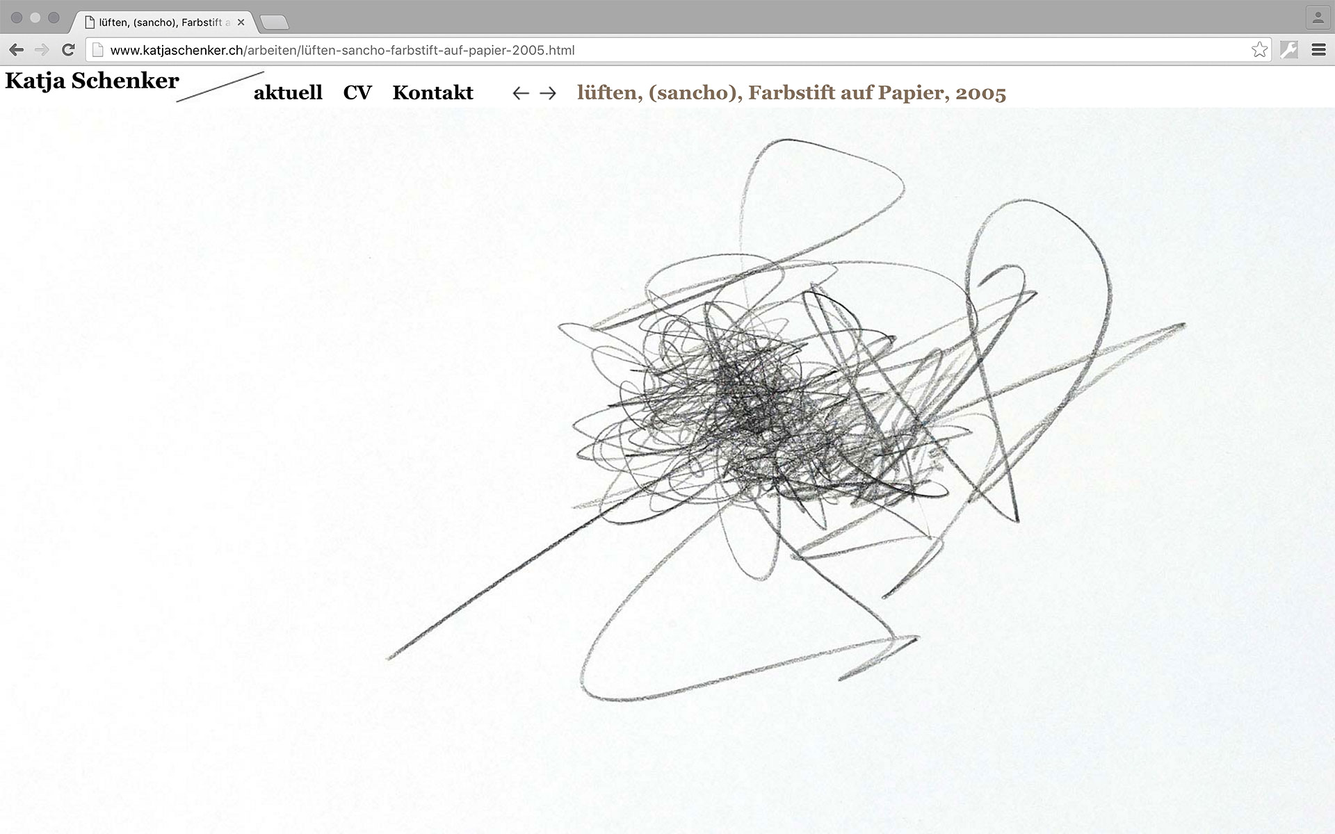 Website für Katja Schenker, 2011, zusammen mit Hanna Züllig