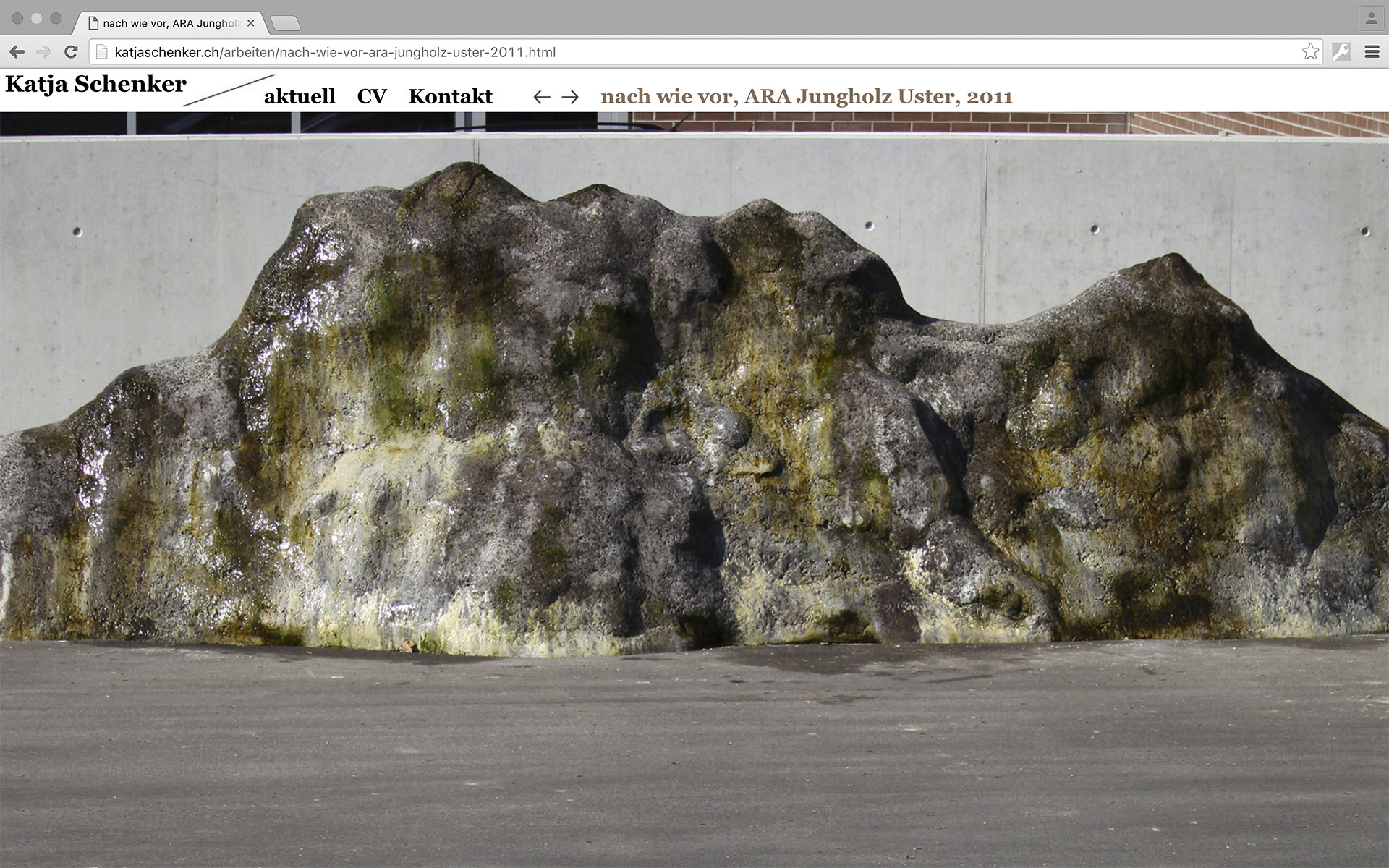 Website für Katja Schenker, 2011, zusammen mit Hanna Züllig