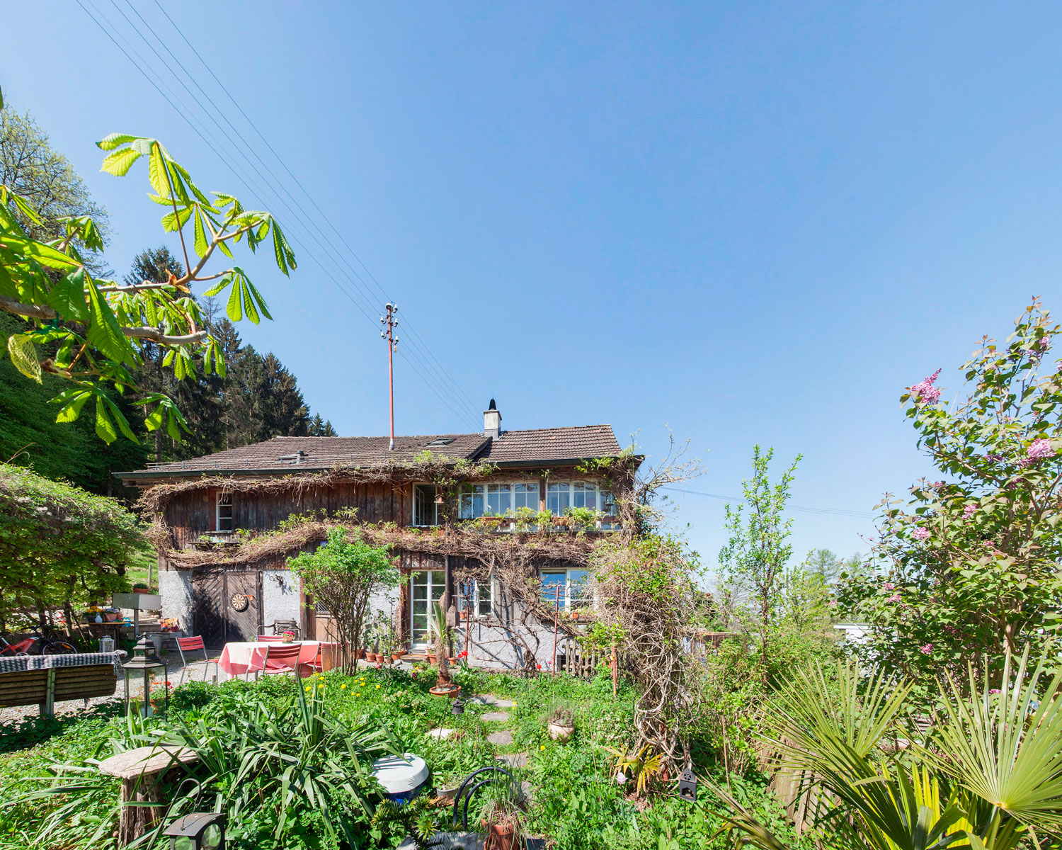 Paco Carrascosa Wogeno Zürich Bildkonzept Architekturfotografie